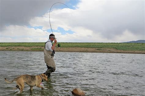 Tips for Fishing With Your Dog .